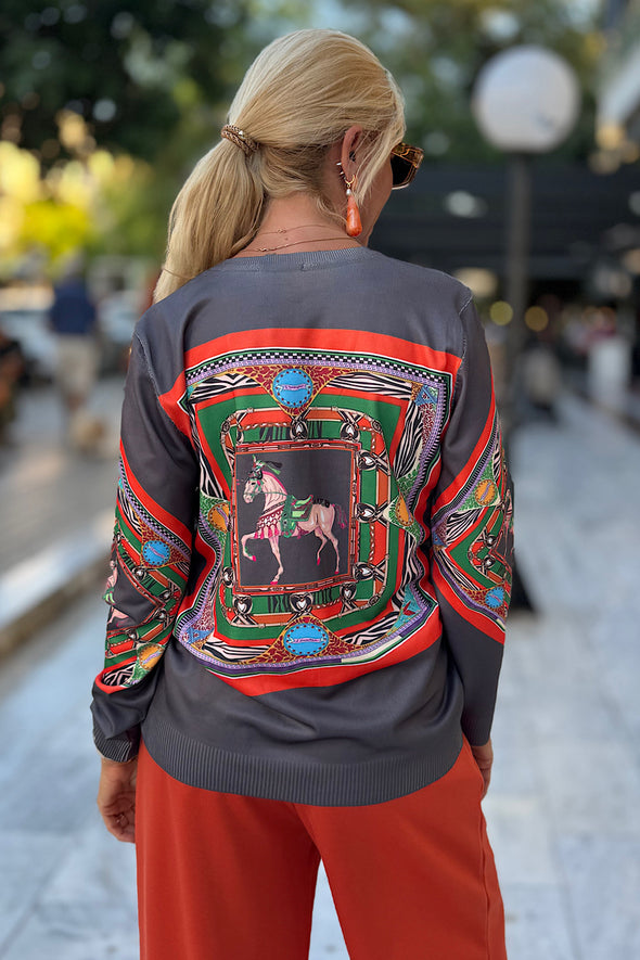 ΜΠΛΟΥΖΑ ΜΕ ΣΧΕΔΙΟ ΑΛΟΓΑ