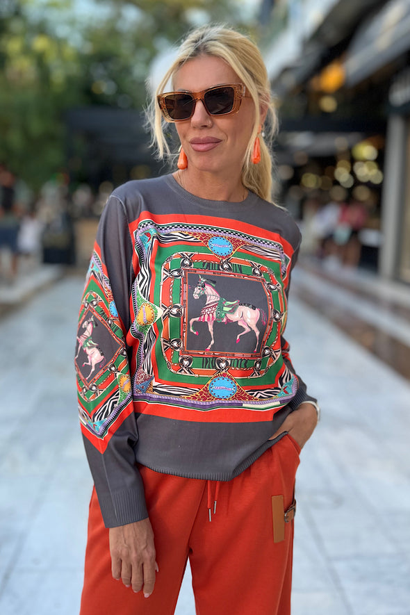 ΜΠΛΟΥΖΑ ΜΕ ΣΧΕΔΙΟ ΑΛΟΓΑ